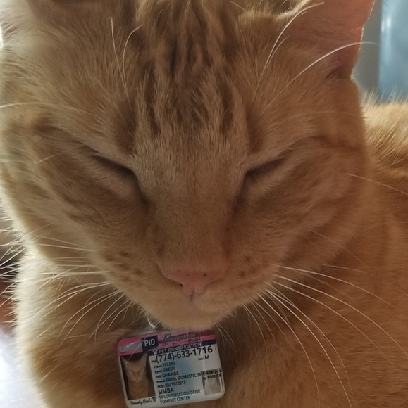 💗 Posh Ambassador! Fast & 5 ⭐⭐⭐⭐⭐ Seller! 💗 - Picture 8 of 8